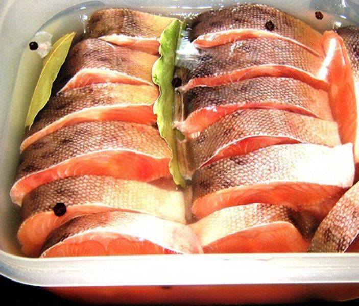 Как засолить лосося: в домашних условиях, вкусно и быстро, под семгу, для бутербродов, слабосоленый, для суши, кусочками, в рассоле