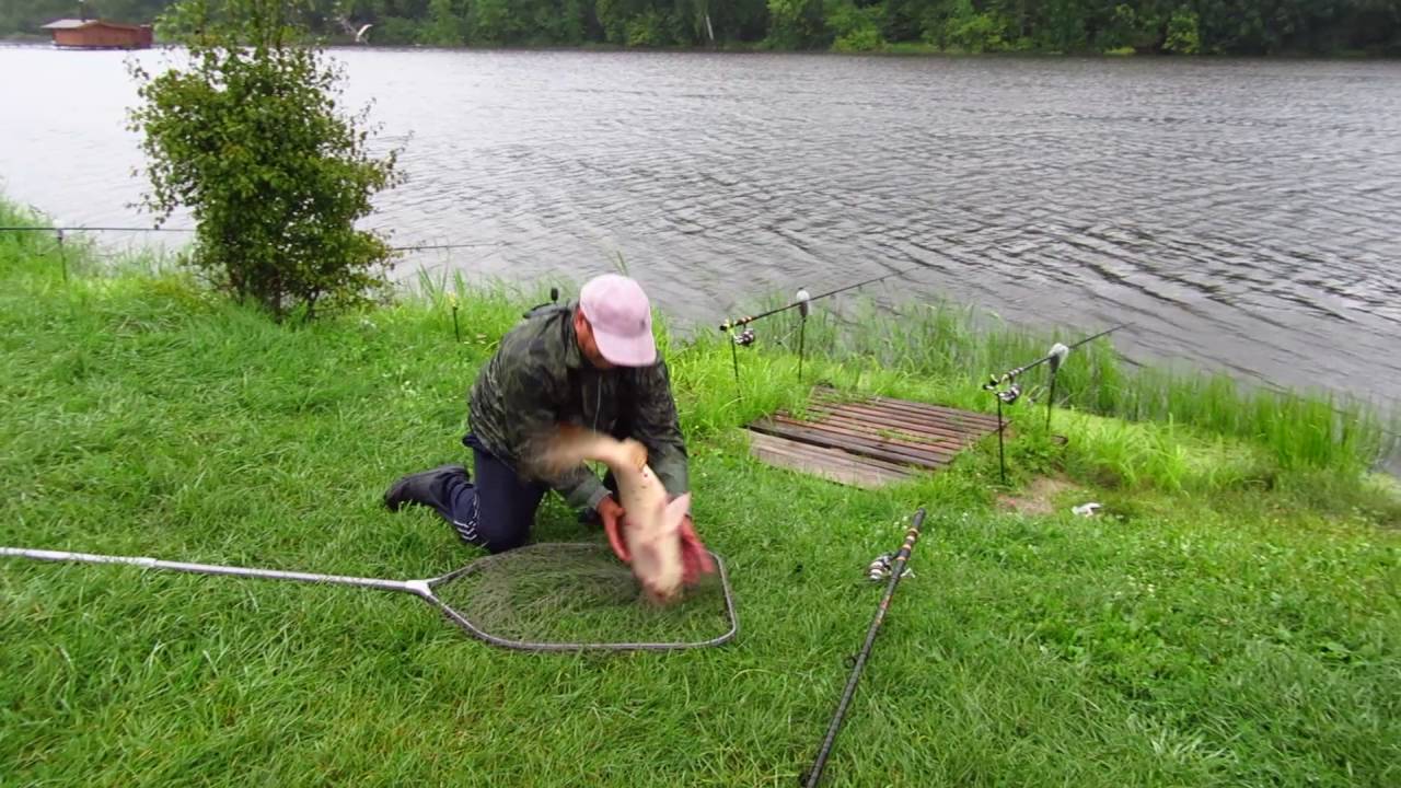 Ловля щуки в озере: снасти, приманки, тактика успешной ловли