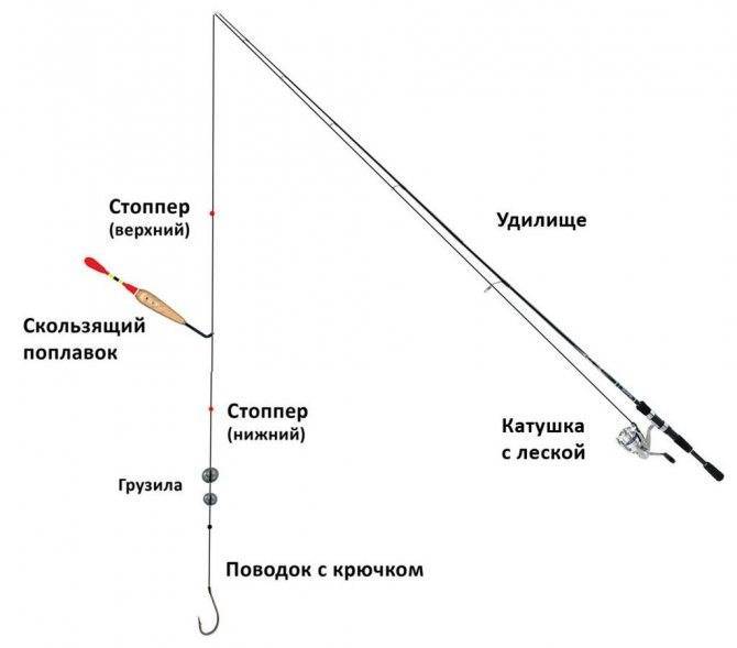 Рыбалка на поплавок: виды, типы удилищ, места ловли, леска, поводки, катушки, грузила, крючки