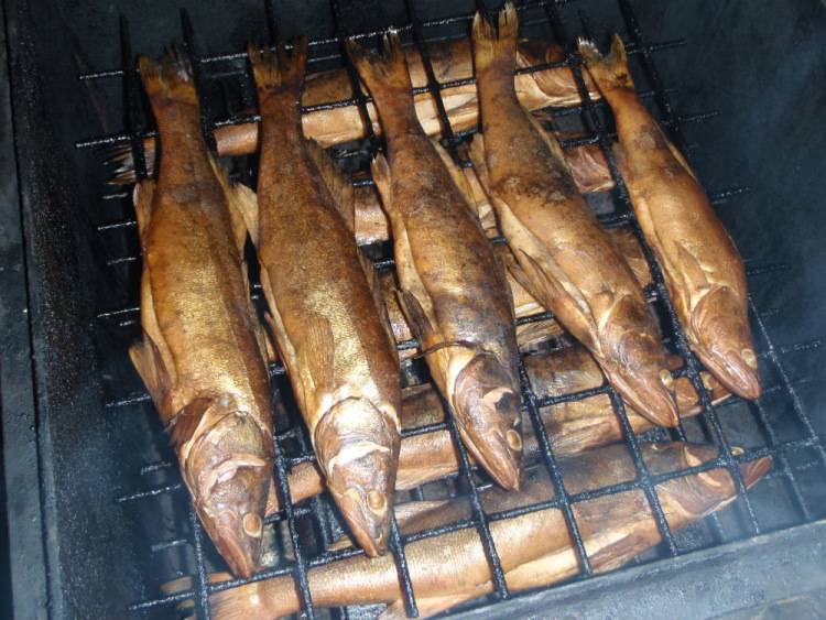 Как коптить рыбу горячего копчения: подготовка продукта, выбор сырья и коптильни