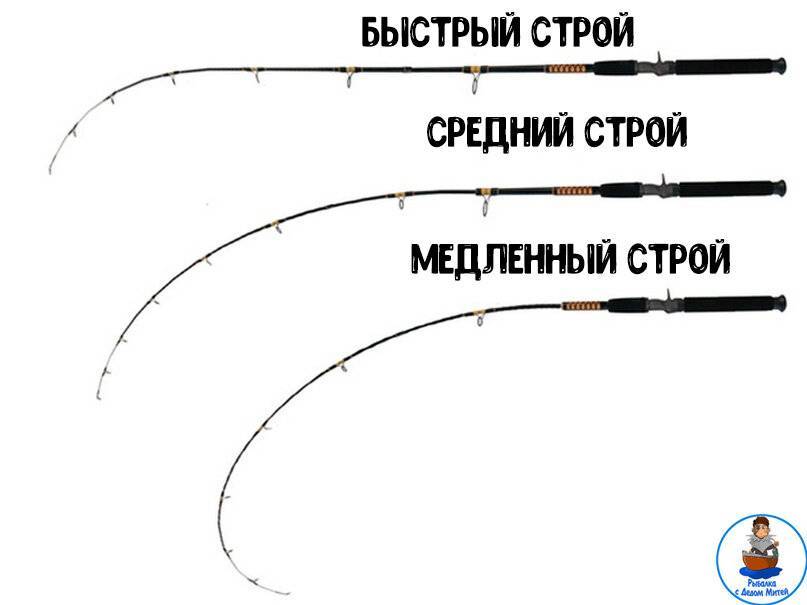 Лучшие катушки для фидера - рейтинг и правила выбора
лучшие катушки для фидера - рейтинг и правила выбора